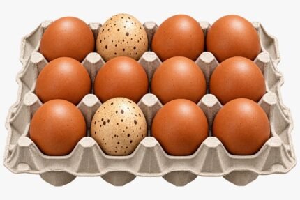 Farm Fresh Eggs – Pack of 12